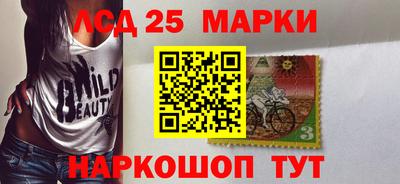 прущие грибы Гатчина