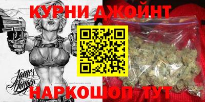прущие грибы Гатчина