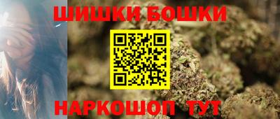прущие грибы Гатчина