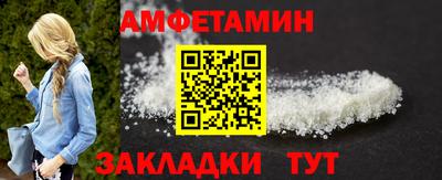 прущие грибы Гатчина