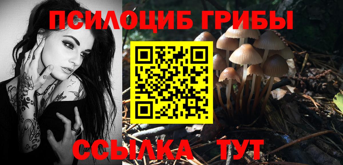 Псилоцибиновые грибы ЛСД Бутурлиновка